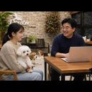 애견호텔 CCTV, 진짜 다 볼 수 있을까?｜보호자들이 제일 많이 하는 질문 이미지