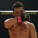 순천-28호 이미지