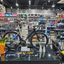 와슈즈앤와이(WASHOES&Y) | 부산 심 바이크 내돈내산 자전거 피팅 후기 및 금액 안내