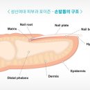 포이즌의원 이미지