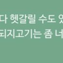 세븐틴공식)세븐틴 다이어리 정독 후기 애들10덕포인트