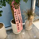 스시원(元) 이미지