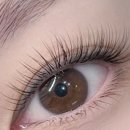 서초대로52길 22 이미지