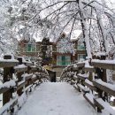 자연미림 이미지