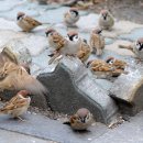 신성초등학교 이미지