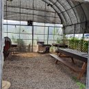 어르니 펜션 이미지