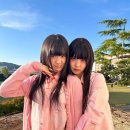 머리하는날 이미지