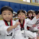 용인대 세심 태권도장 이미지