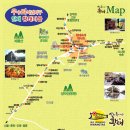 가을의 시작을 알리는 2025년 제7회 &#39;인제가을꽃축제&#39;에 여러분을 초대합니다! (feat. 제25회 용대리 황태축제) 이미지