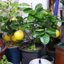 광명카센타 이미지