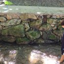 두리캠핑장 이미지