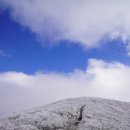 노고단-17 이미지