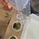 태권도예일체육관 이미지