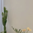 통일냉면 이미지