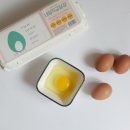목인농장 | 자연방사유정란, 내일학교달걀 어떻게 먹어도 맛있다