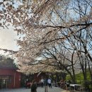 홍제자전거주차장 이미지