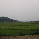 매부리~성산 이미지