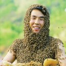안스허니카페 네이버블로그