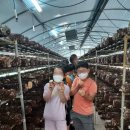 구)대산초등학교 이미지