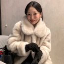 르셀리
