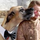 말랑말랑 이미지