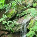 미인목장 이미지