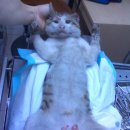 동교어린이집 이미지