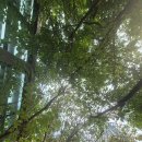 현대백화점 디큐브시티 2층-1 | 현대백화점 디큐브시티 5층 <후와후와현대백화점 디큐브시티점>, 현대백화점 디큐브시티 지하 2층 <1952...