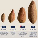 남도농장 | 해남 고구마 추천 숨은농장 꿀고구마, 여름에도 맛있는 에어프라이어 간식 후기