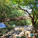 밤나무계곡민박 이미지