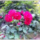 인천공촌초등학교 이미지