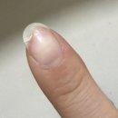 후라이데이황지점