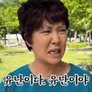도시 강아지 네이버블로그