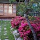 완산방-14 이미지