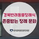 김천동물약품상사 | 경북반려동물장례식장 존중받는 장례 문화
