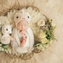 몰라스튜디오 이미지