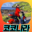 우도 버스투어 꿀팁 순환버스 타고 우도여행 후기