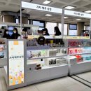 제주의꿈 이미지