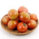 토마토 - 청주시 상당구 상당로121번길 38 | 토마토