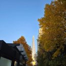 SPRING 행복콘서트 | 백윤학 지휘자 지브리 디즈니 오케스트라 공연 보러간 롯데콘서트홀 feat. RP구역 후기, 맛집, 카페