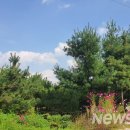 양주문화예술회관 이미지