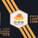 반려당 이미지