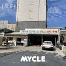 애니모터스