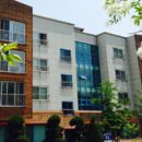 소나무파인트리(PINE TREE) 이미지