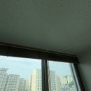 [탄성코트] 남양주 정광산호아파트 탄성코트 시공 후기｜누수 문제로 발코니 전체 재시공 현장