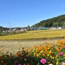 산들바다마을 이미지