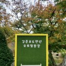 강촌포도팬션&캠핑장 | 강촌포도펜션 오토캠핑장 1박2일 캠핑 후기
