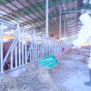 이조한우농장 이미지