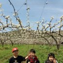 손불농장 이미지