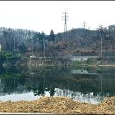 금호강오토캠핑장 이미지